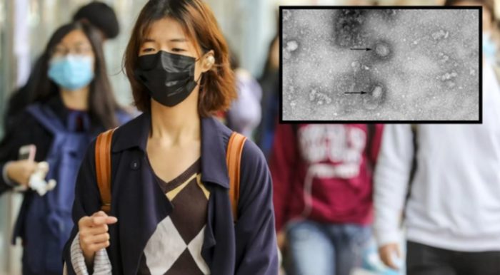 Airports in the US Begin Checking for SARS-Like Mystery Virus as Deadly Outbreak Spreads