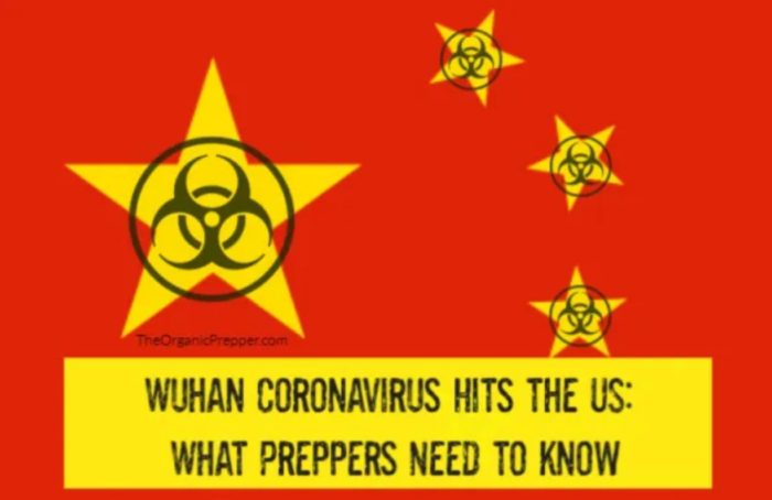 Wuhan Coronavirus Hits the US: What Preppers Need to Know