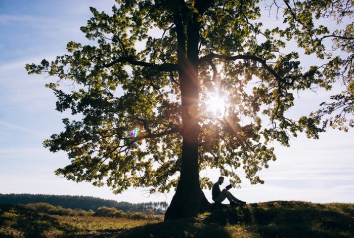 Student Mental Health: 10 Minutes a Day in Nature Could Reduce Stress and Anxiety – Expert Explains