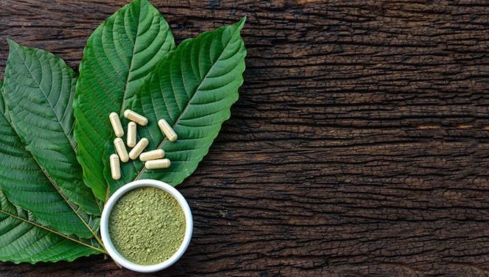 Natural Herb Kratom May Have Therapeutic Effects with Low Potential for Abuse or Harm