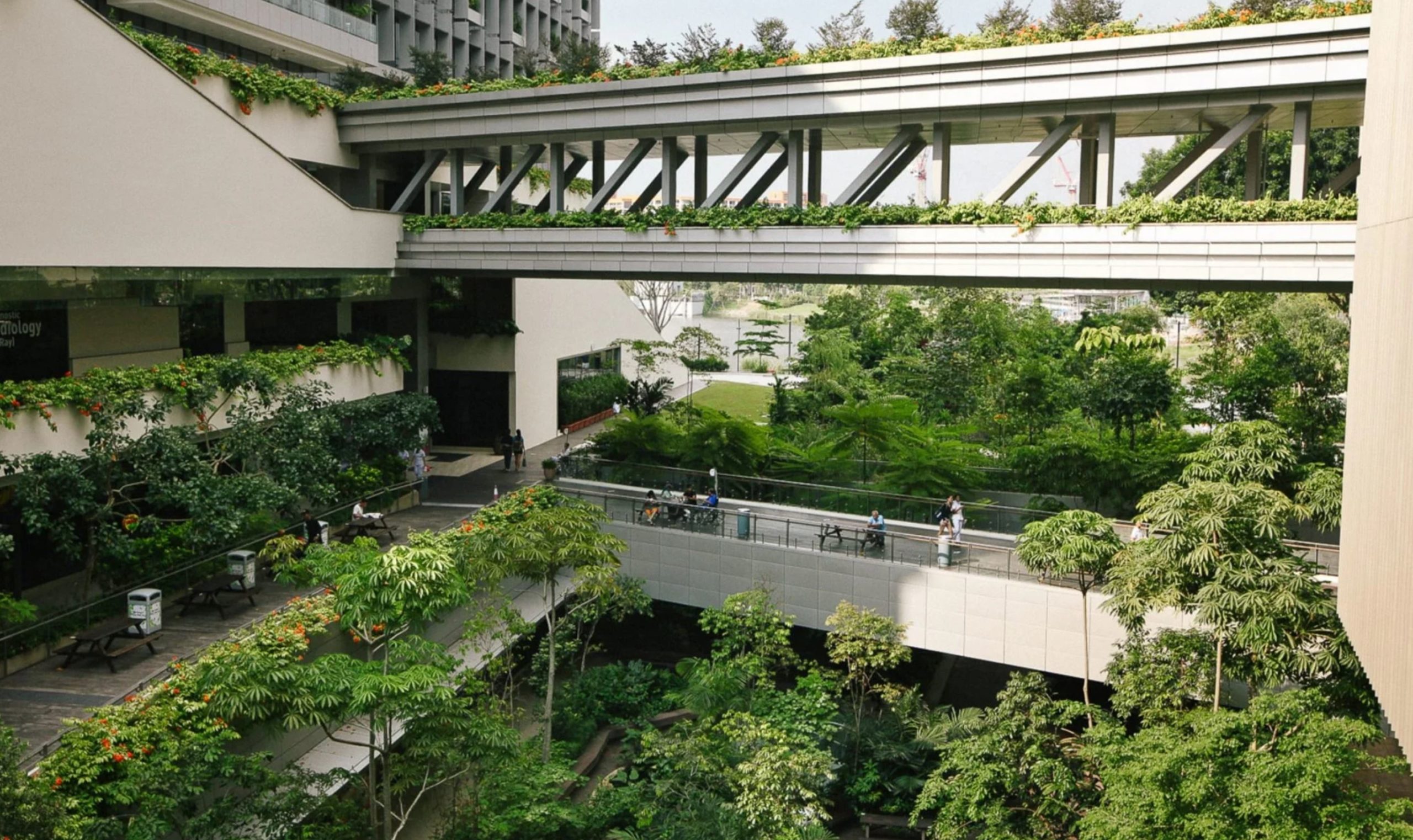 Singapore Hospital Designed To Nature Is The Future!