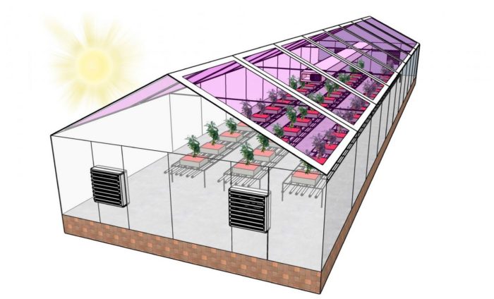 Next Generation of Greenhouses may be Fully Solar Powered
