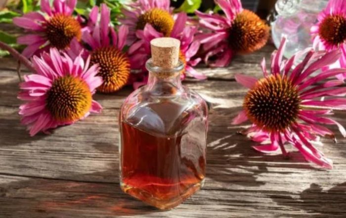 How To Make An Echinacea Tincture