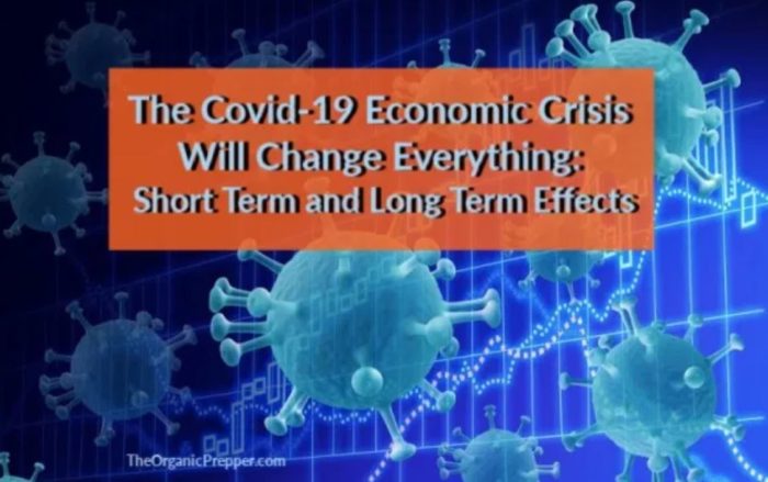 The Covid-19 Economic Crisis Will Change Everything: Short Term and Long Term Effects