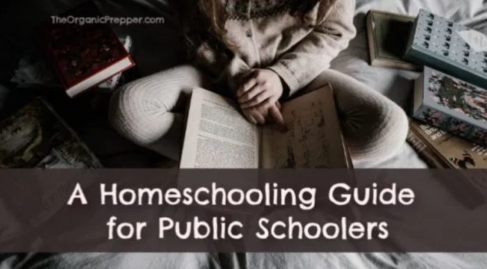 A Homeschooling Guide for Public Schoolers