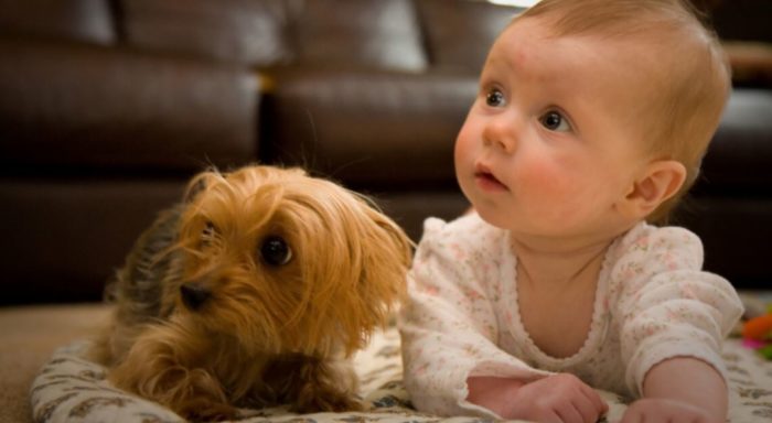 Kids Who Grow Up With Pets Make More Sensitive, Sympathetic, Successful Adults: Research