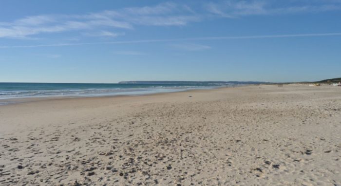 Spanish Beach Sprayed With Bleach, Causing “Brutal Damage” to Local Animals