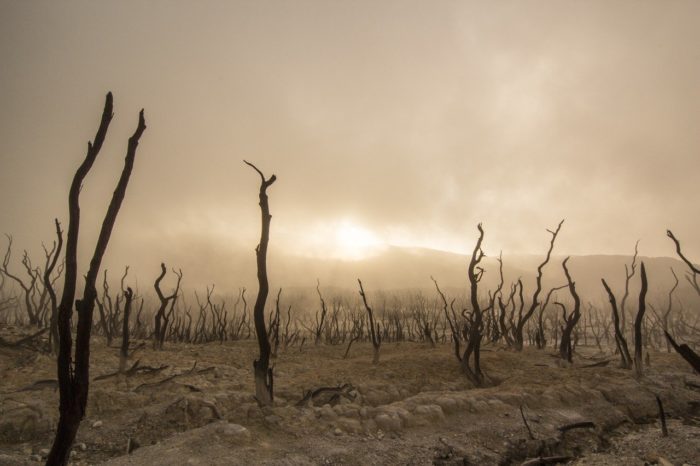 State Of Emergency Declared In Italy’s Drought-Stricken North