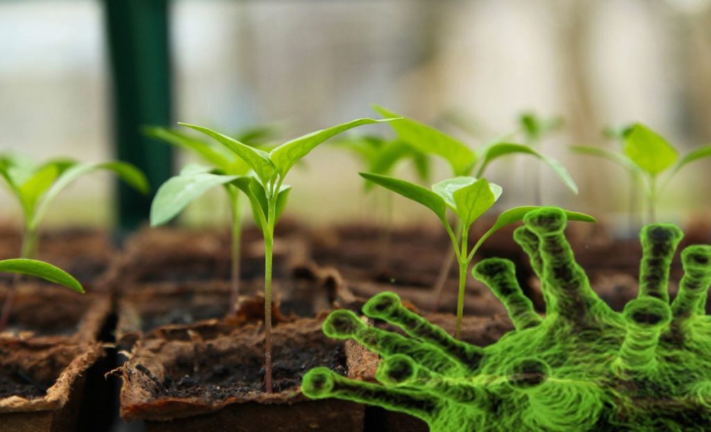 Sustainable Living: How To Take Control of Your Food Supply Farm-food-pix-1024x622