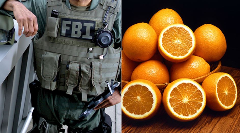  COVID19 UPDATE - FBI Raids Detroit-Area Medical Facility ‘For Using Intravenous Vitamin C plus MORE Fbi-vitamin-c