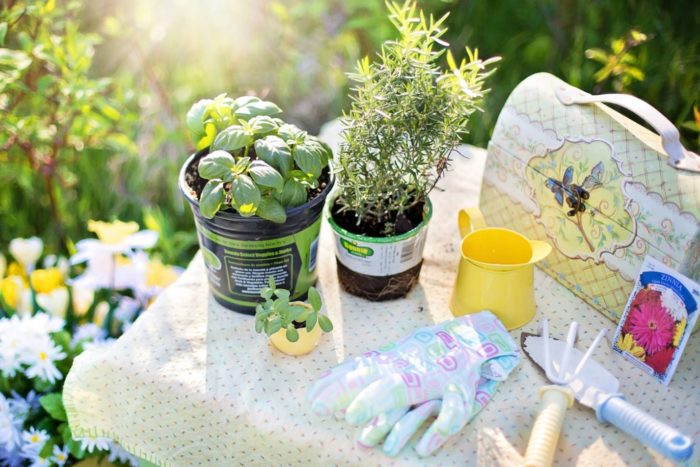 How Planting Herbs Compliments Sustainable Gardening