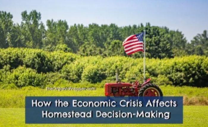 How the Economic Crisis Affects Homestead Decision-Making