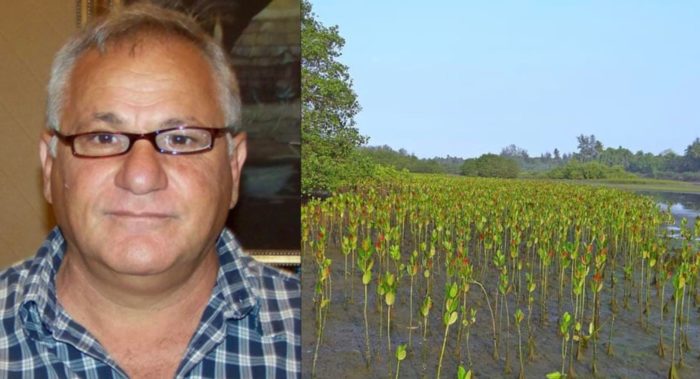 What Is Humanity Capable Of? This Man Got 152 Million Mangrove Trees Planted In 10 Years