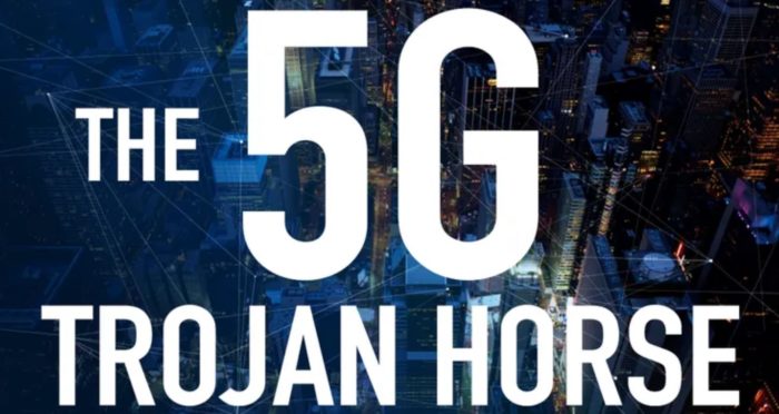 The Impact of 5G on the Environment and Wildlife