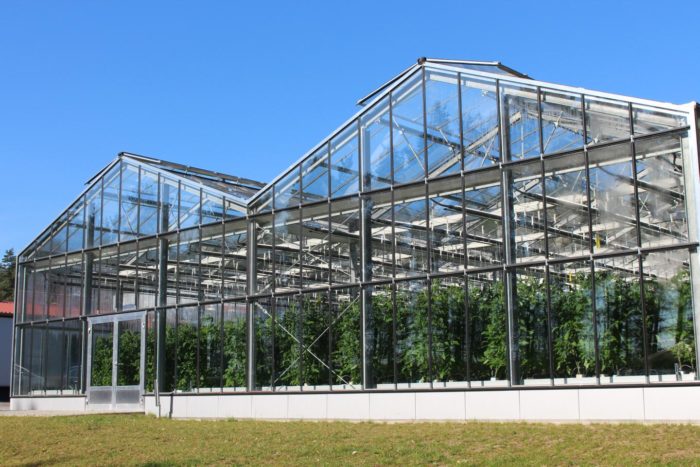 Aquaponics: Research Shows Combined Production of Fish and Vegetables Can Be Profitable