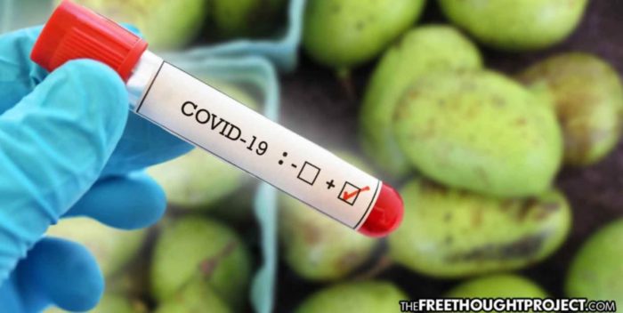 Suspicions Raised Over COVID-19 Tests After a Fruit Reportedly Tests Positive for Virus