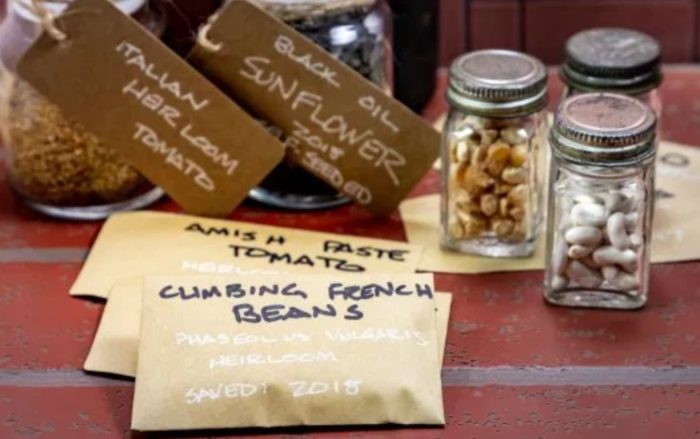 How To Make Your Own Seed Bank