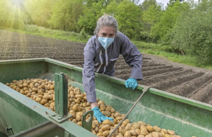 During The Pandemic Small Farms And Farmer’s Markets Are Booming