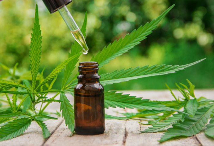 Another Study Finds CBD Reduces Lung Damage From COVID-19