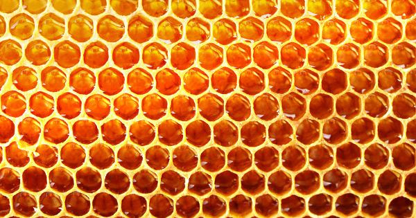 Honey for the Heart: Cardiovascular Benefits for Postmenopausal Women