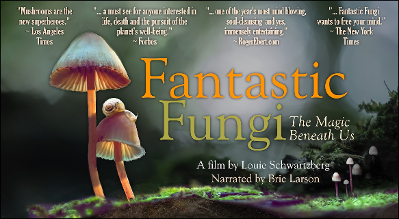 See “Fantastic Fungi” Film Online Now!
