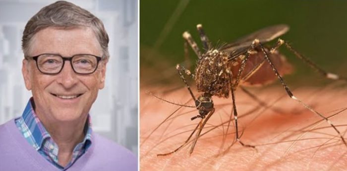 Bill Gates, Genetically Engineered Mosquitoes, and Houston