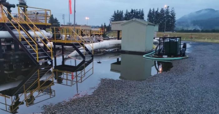 Oil Spill: 50,000 Gallons Leaked By Trans Mountain Pipeline Onto Indigenous Land