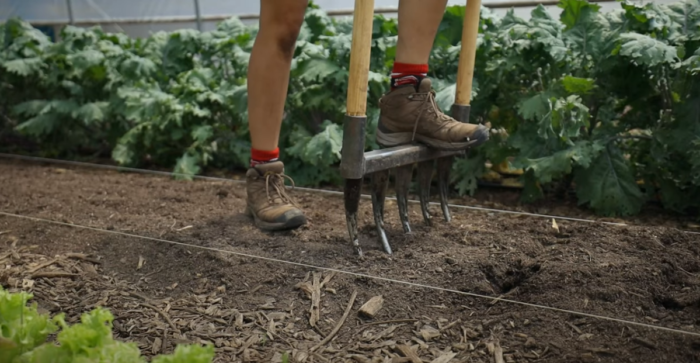 How To Prepare No-Till Garden Beds For New Crop Planting