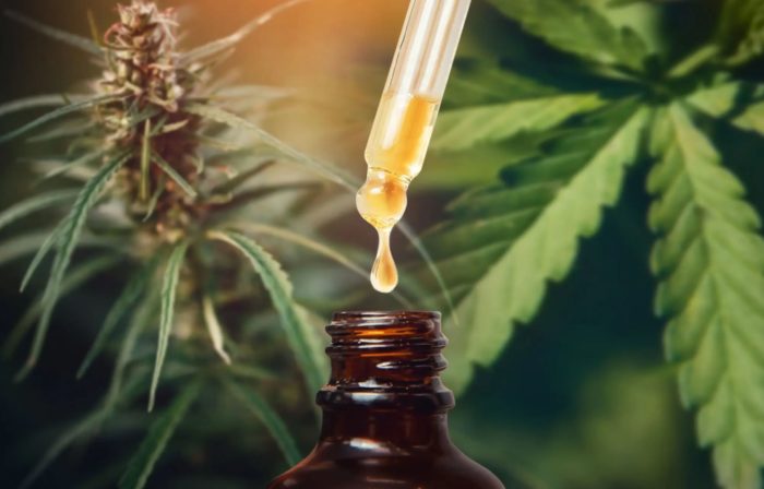 Researchers Suggest Cannabis Derived CBD Could Help Reduce Deadly COVID-19 Lung Inflammation