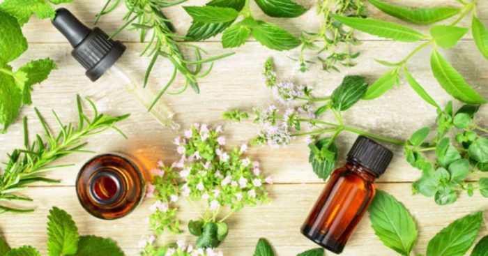Best Essential Oils to Reduce Stress