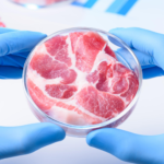 Florida Becomes First State To Ban ‘Fake Meat’