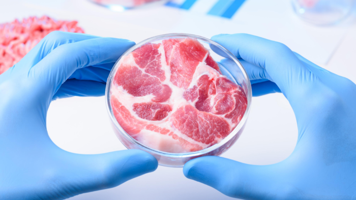 Impossible Foods Investor Wants You Eating Cellular Meat and Aims to Eliminate Animals from Food Systems
