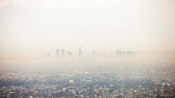 Air Pollution Linked to Higher Risk of Young Children Developing Asthma