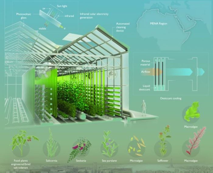 Can Modified Greenhouses Offer Food Growing Opportunities in the Desert?