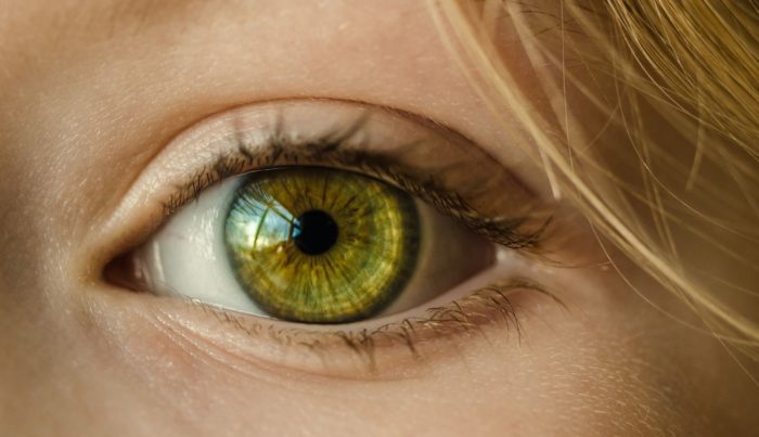 5 Top Foods for Eye Health