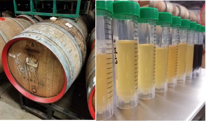 How Sour Beer Is Made Sour
