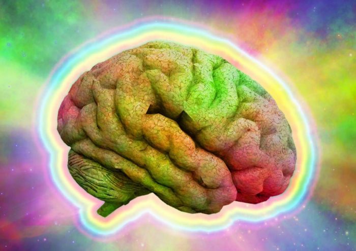 Study Suggests That LSD Microdoses Could Replace Opiates For Pain Management