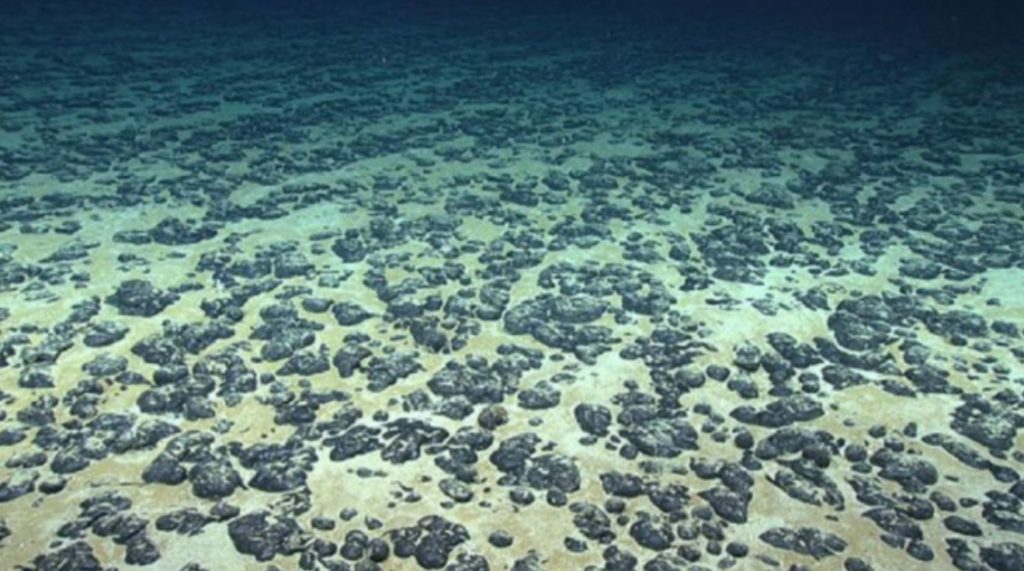 Scientists Resurrect 100-Million-Year-Old Life Buried Under Seafloor