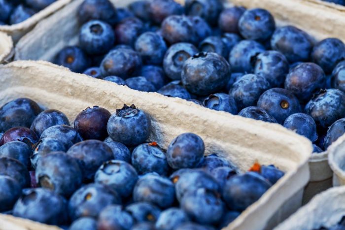 New Compound From Blueberries Could Treat Inflammatory Disorders