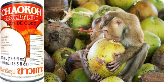 Costco Will Stop Selling Chaokoh Coconut Milk Over Reports Of Monkey Labor