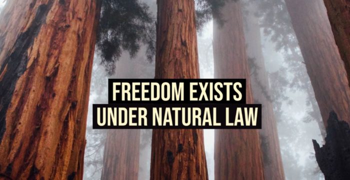 Freedom Exists Under Natural Law