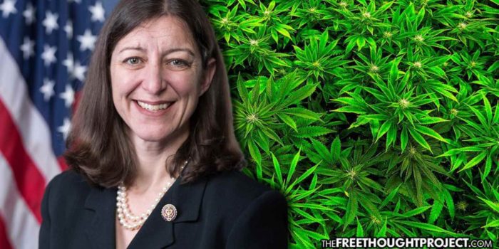 Congresswoman Says She’ll Break the Law if Her Daughter Needs Medical Cannabis
