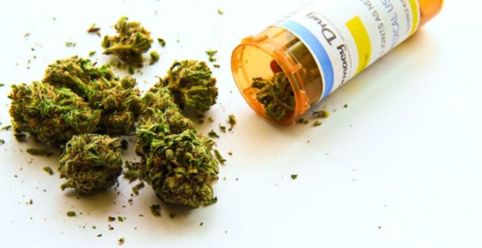 Medical Cannabis Superior to Opioids for Chronic Pain, Study Finds