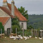 What Big Ag Doesn’t Want You to Know: Small Farms Can Feed the World