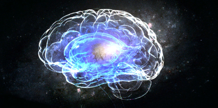 Scientists: The Human Brain And The Entire Universe Have Odd Similarities