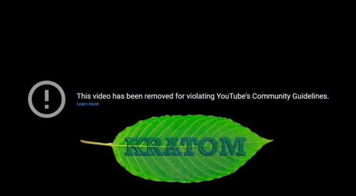 Big Tech Censoring Educational Videos on Kratom, Labeling Them “Dangerous or Harmful Content”