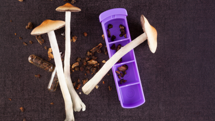 Psychedelic Treatment with Psilocybin Relieves Major Depression, Study Shows