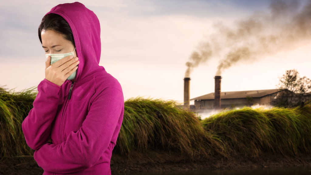 Air Pollution and Student Test Scores