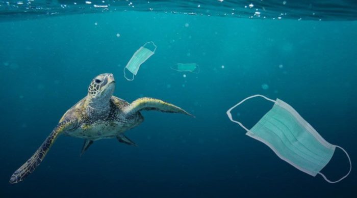 1.6 Billion Disposable Masks Entered Our Oceans In 2020