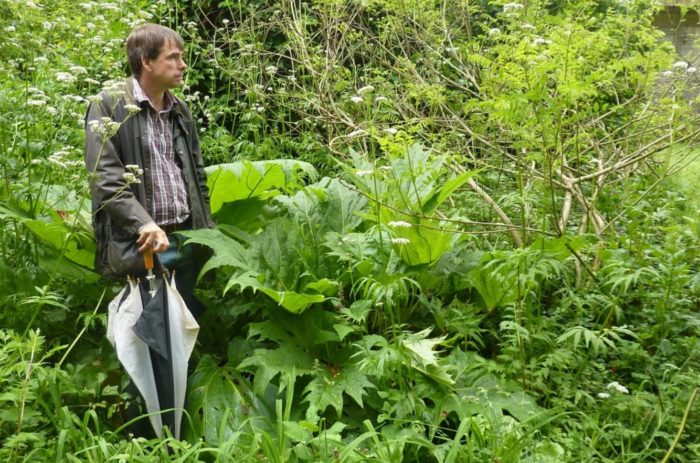 A Forest Garden With 500 Edible Plants Could Lead to a Food Secure Future